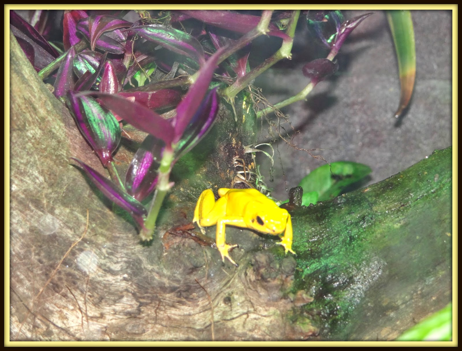 Pattie's Place The Living Aquarium Trip in Sandy, Utah