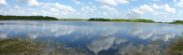 Lac Fakahatchee Strand Preserve Everglades Floride