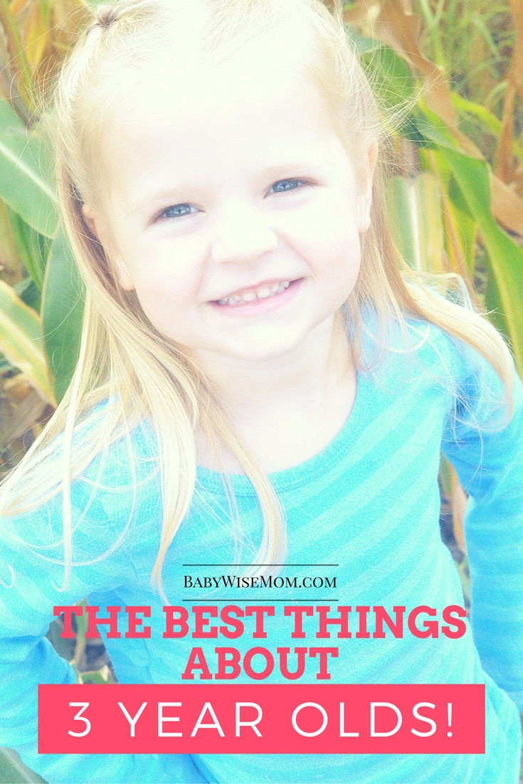 Best Things About Three Year Olds Chronicles of a Babywise Mom