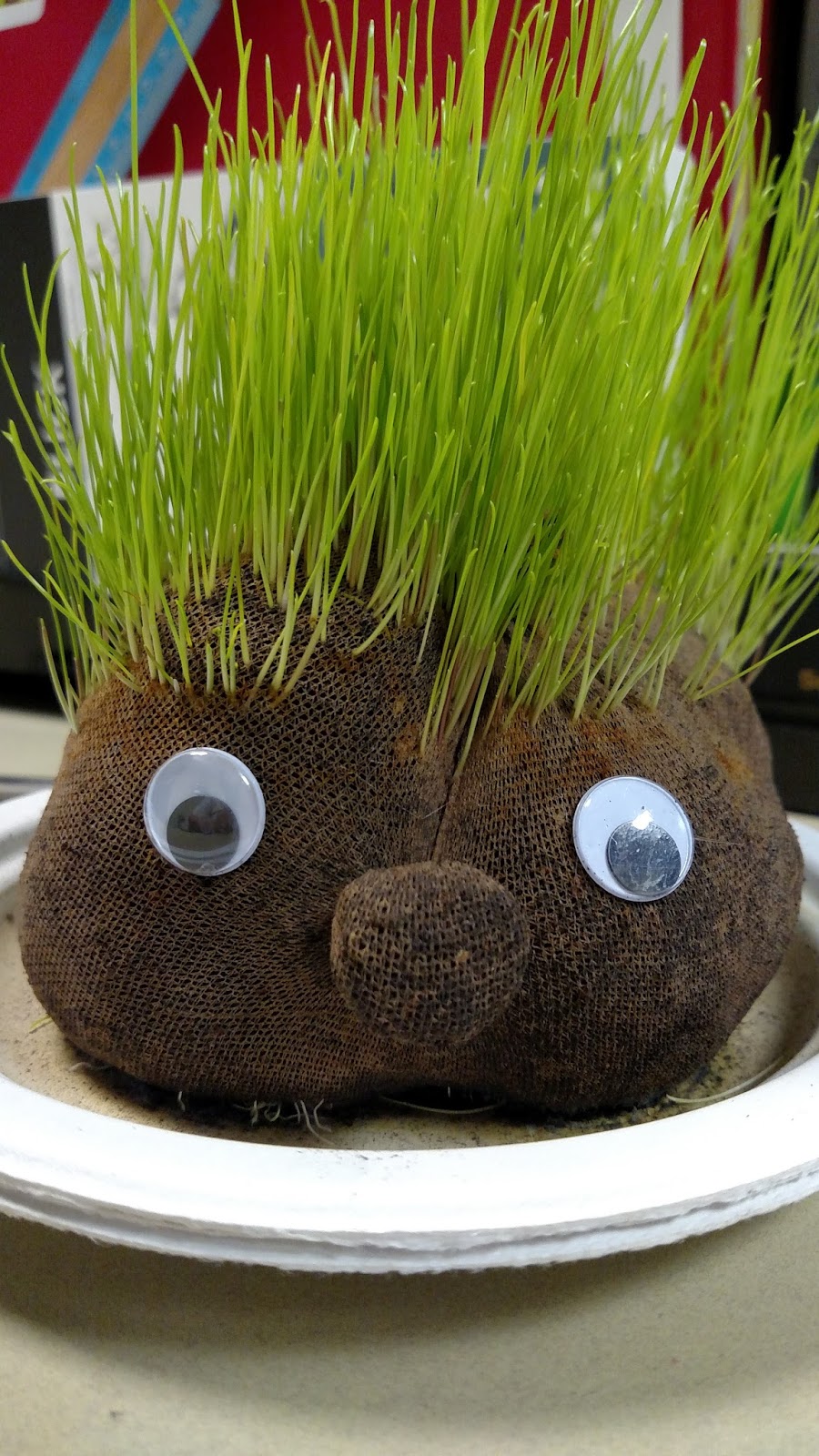 Can I add glitter? Grass Heads / Chia Heads