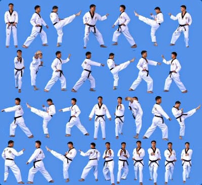 Teknik Dasar Gerakan Taekwondo | UKM Bela Diri Taekwondo UIN Antasari