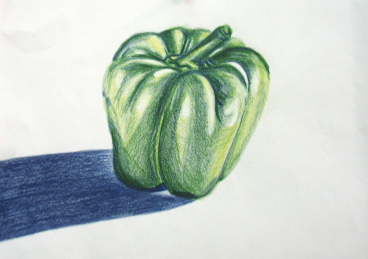 Introduction to Studio Art: Project 3: Bell Pepper Drawing