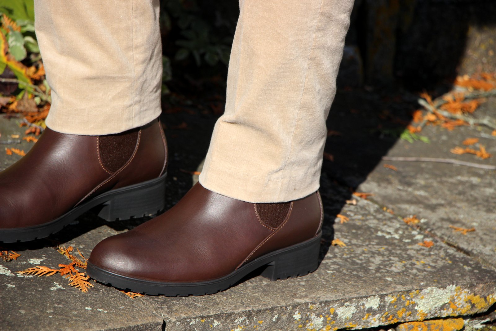 dubarry waterford chelsea boot