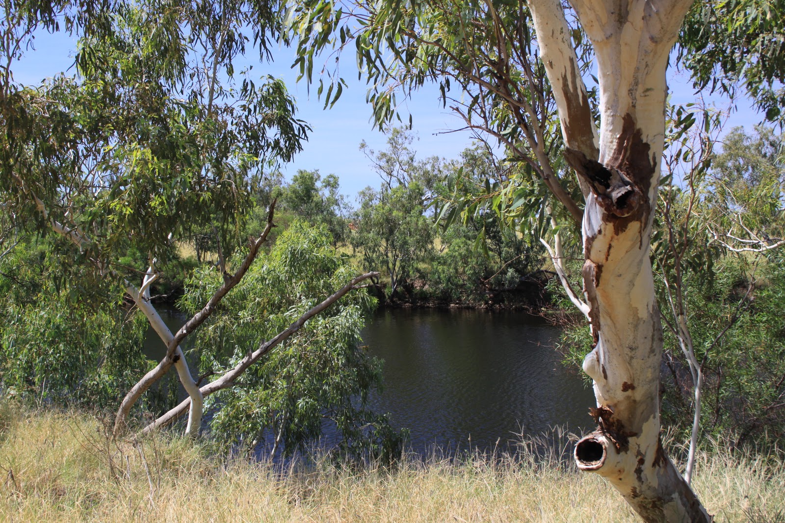 Kakadu Explorer Tours: Davenport Range National Park