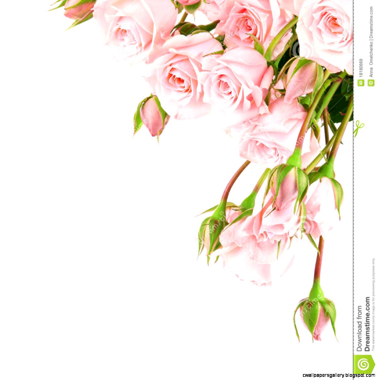 clipart red roses border - photo #30