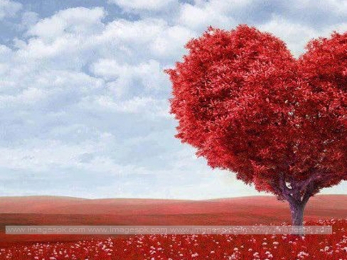 Kumpulan Kata-kata Mutiara Cinta (22) - BIBLIOTIKA