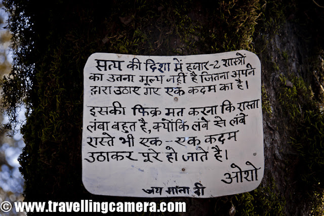 The walk/trek towards Buddhi Nagin temple started after some snacks at Jalori Pass Market. The boards shown in this photograph are appropriate indicators in forest. Because of Buddhi Nagin temple, people visit the place for religious reasons as well.  Since there are various paths inside forest, so it would have been difficult to reach the place without these indicators.