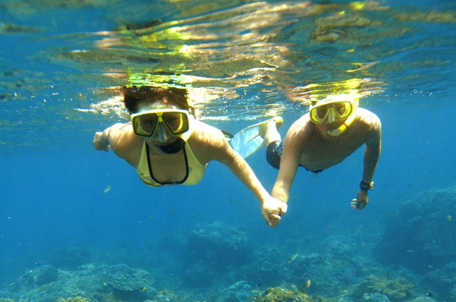The Best Snorkeling Spots In Bali | Information and Reference about
