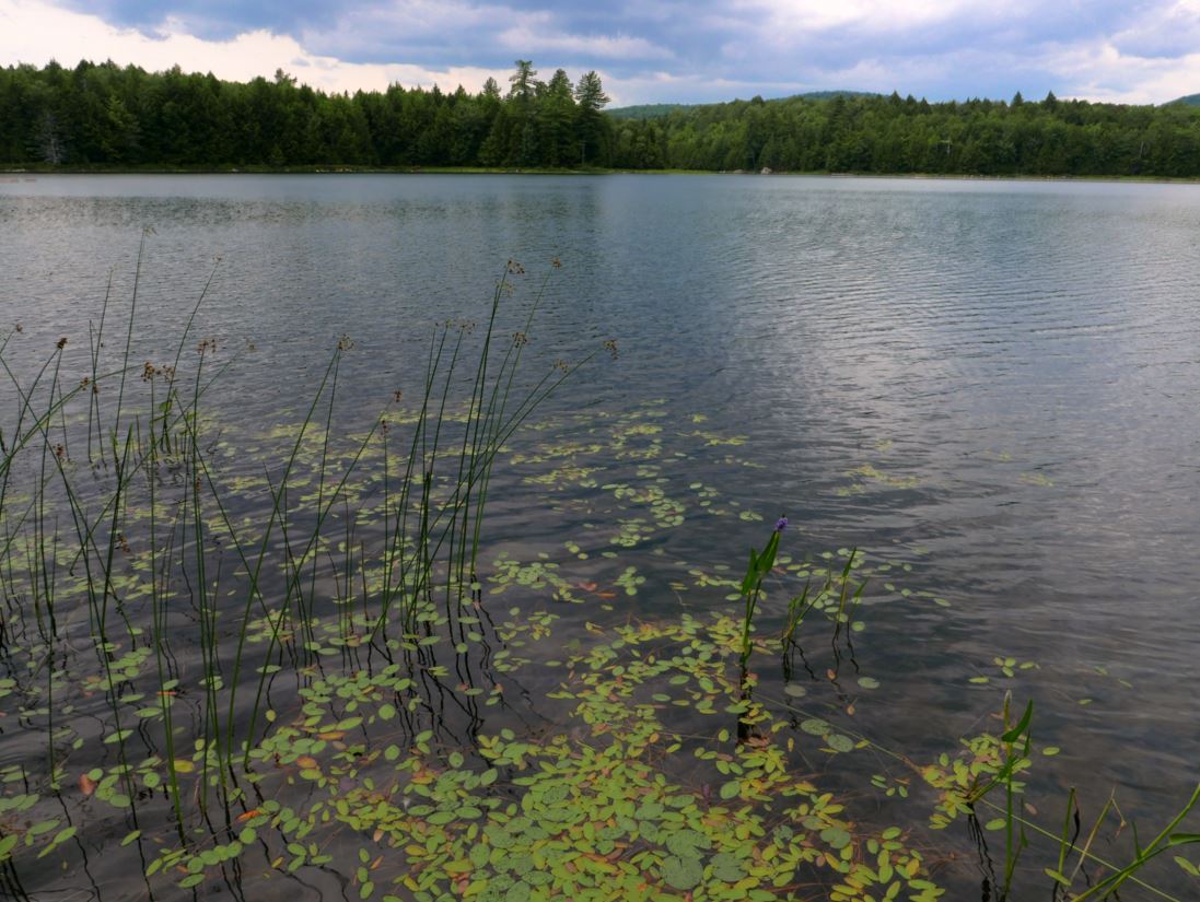 A Little Wild Wilcox Lake via Pumpkin Hollow