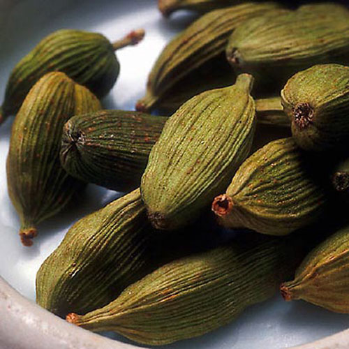 cardamom