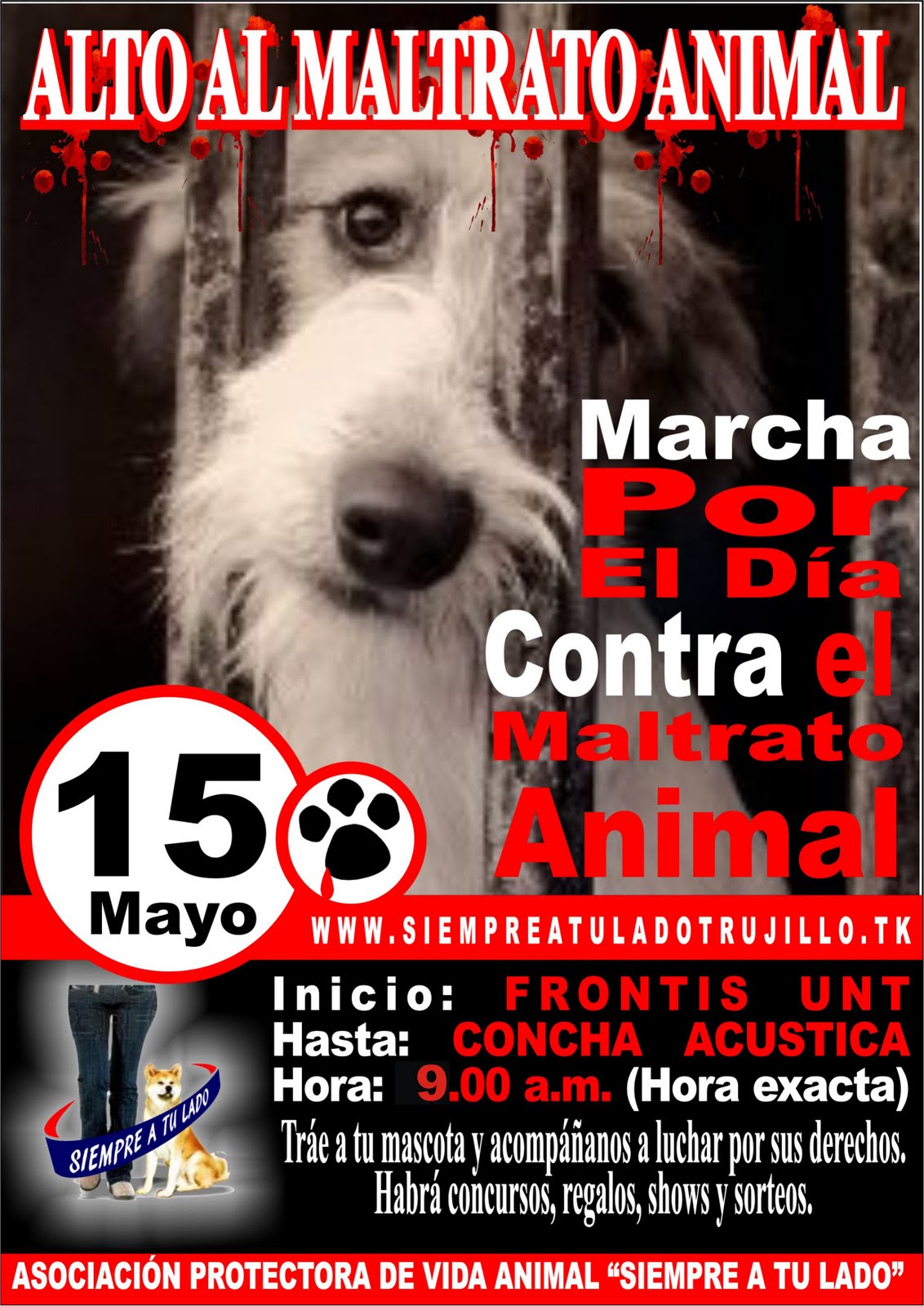 ASOCIACION PROTECTORA DE VIDA ANIMAL SIEMPRE