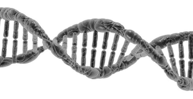 ADN y biologia