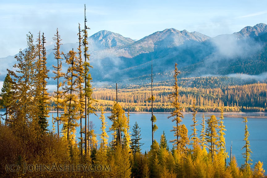 Wild and Free Montana Hungry Horse Reservoir