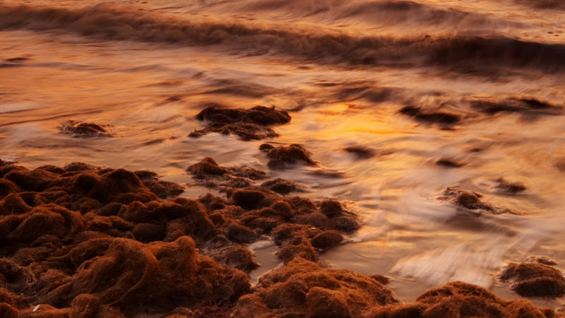 Nature Wallpapers: Nature HD Wallpapers Set 6