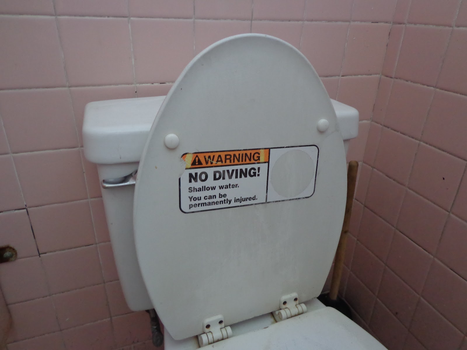 Growing Old With Gracie: Gross toilet