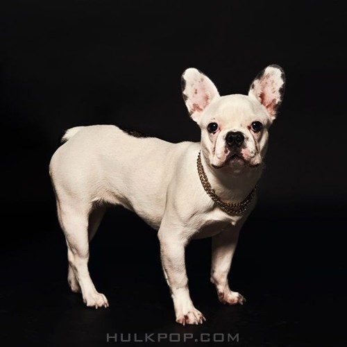 Gimmiky – Dog Tape – EP