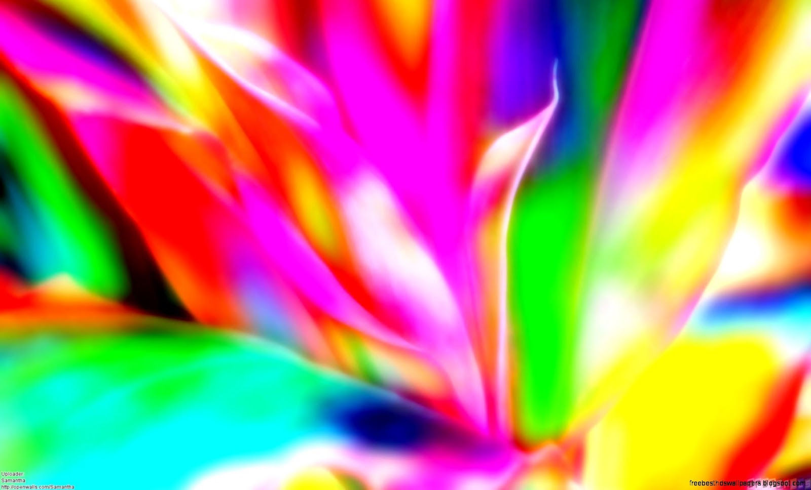 Colorful Bright Neon Colors