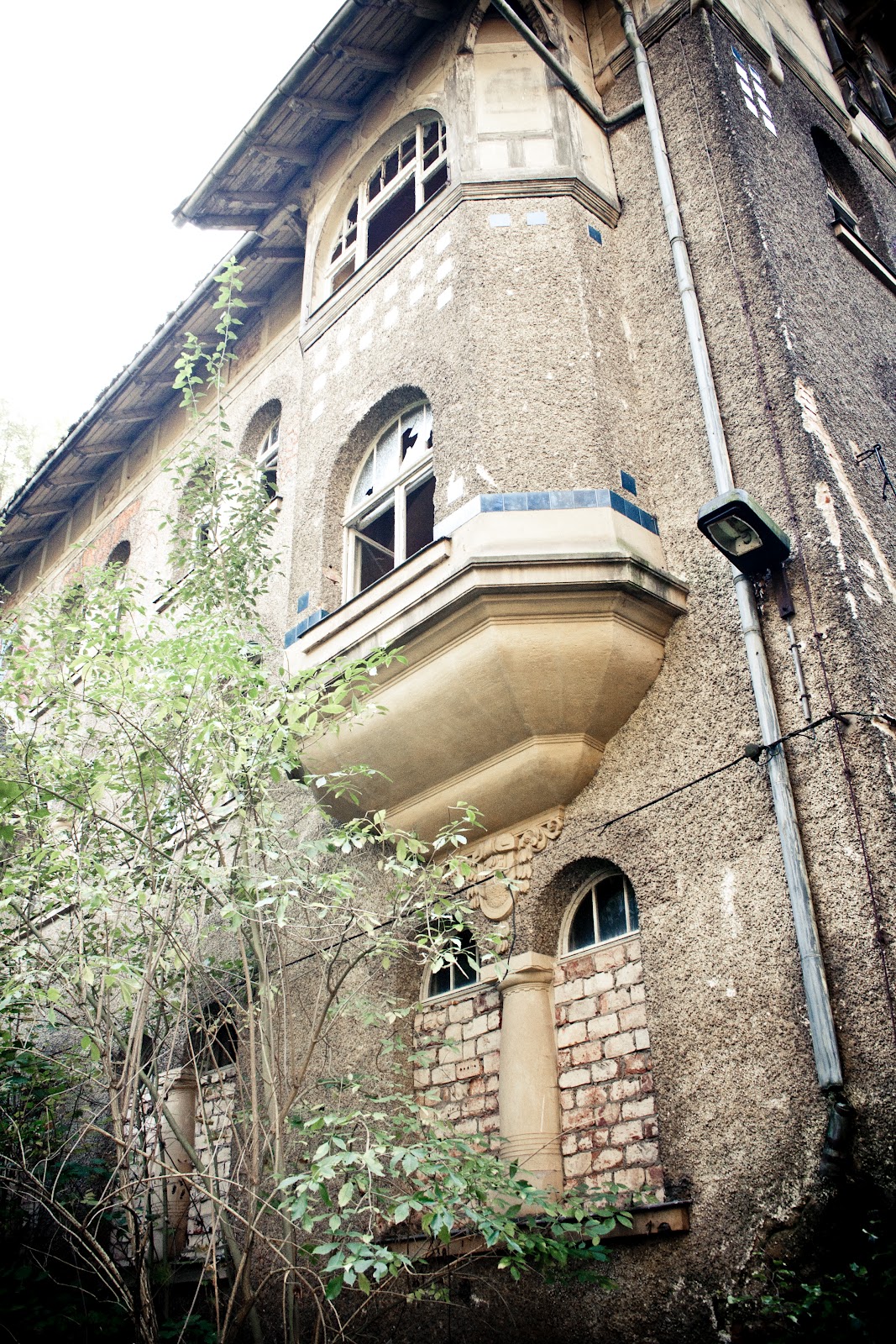 Blühende Landschaften Augustusbad in Liegau bei Radeberg