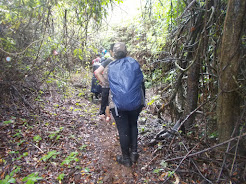 We trekkers walking in a single file through dense Jungle on way to Kulem.