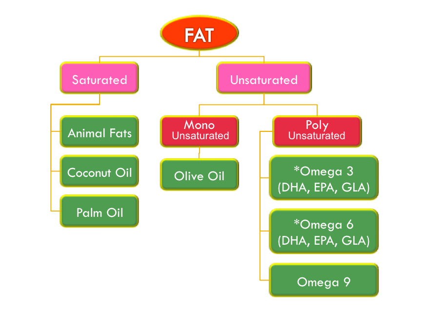 A Quick Guide on Nutrition Fats Natural Health & Beauty Products