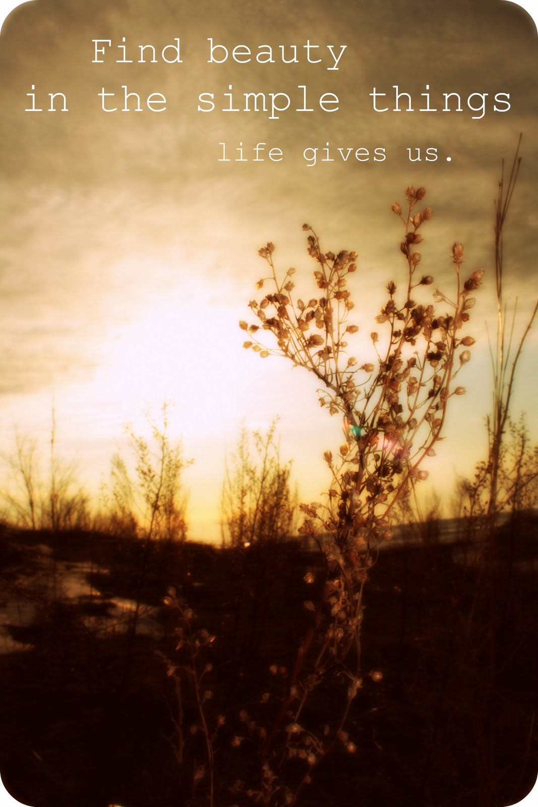 Embrace Every Moment Beauty in the Little Things