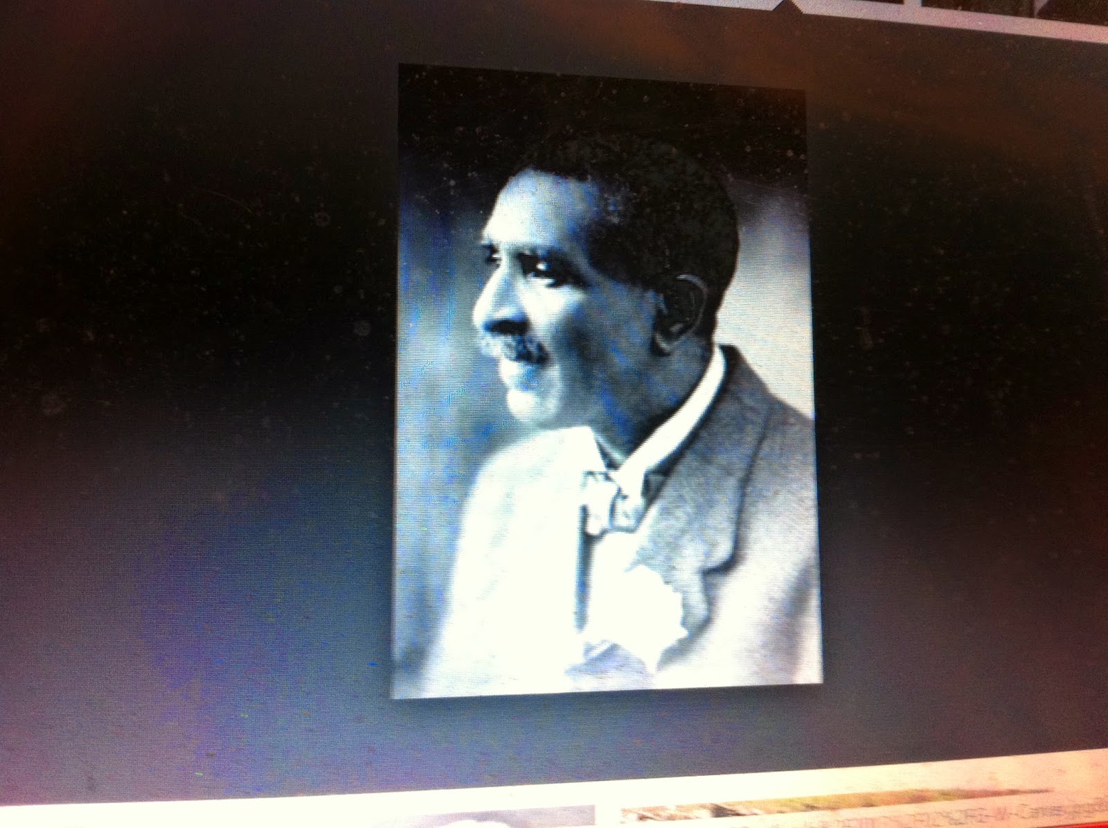 THE BLACK SOCIAL HISTORY BLACK SOCIAL HISTORY AFRICAN AMERICAN