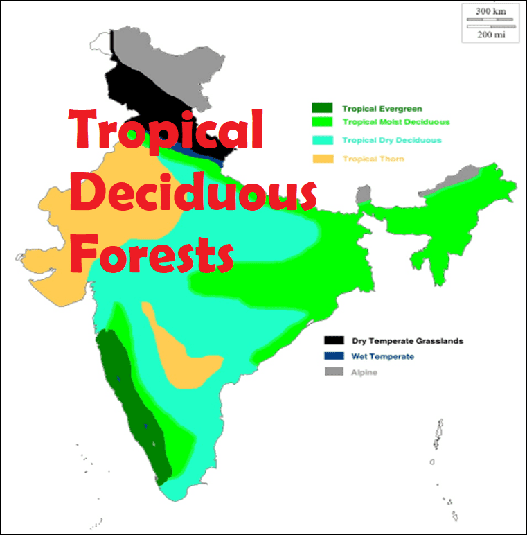 Deciduous Trees Map