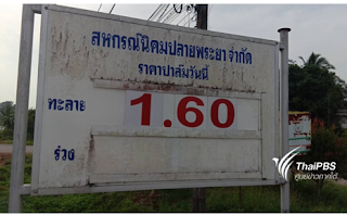Thai E-News : \u0e40\u0e21\u0e29\u0e32\u0e22\u0e19 2019