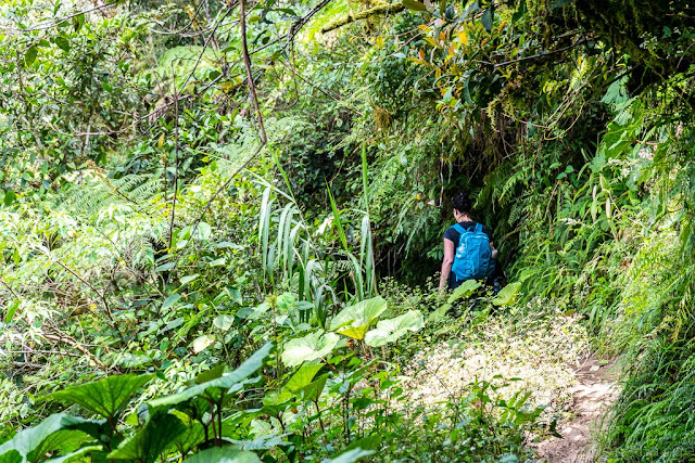 Région de l'Ifugao-Luçon-Philippines