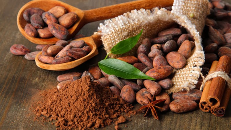 cacao desgrasado en la dieta dukan