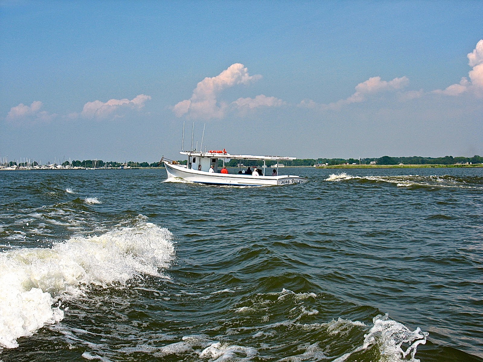 figs flowers food BOATING KENT NARROWS IN SUMMERTIME
