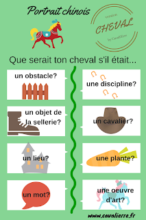 les questions du portrait chinois version cheval