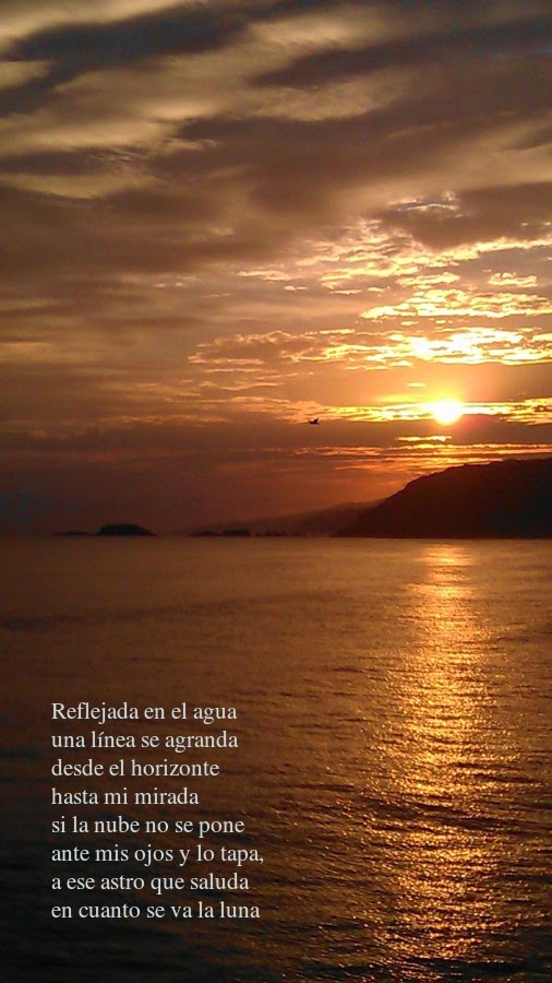 OneNote on line, al principio