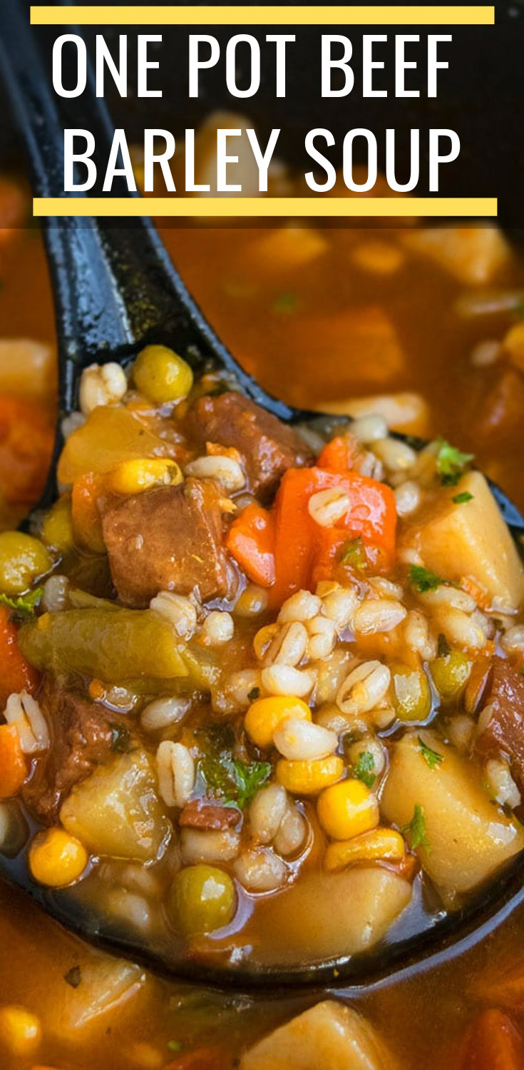 ONE POT BEEF BARLEY SOUP RECIPE Trending Recipes