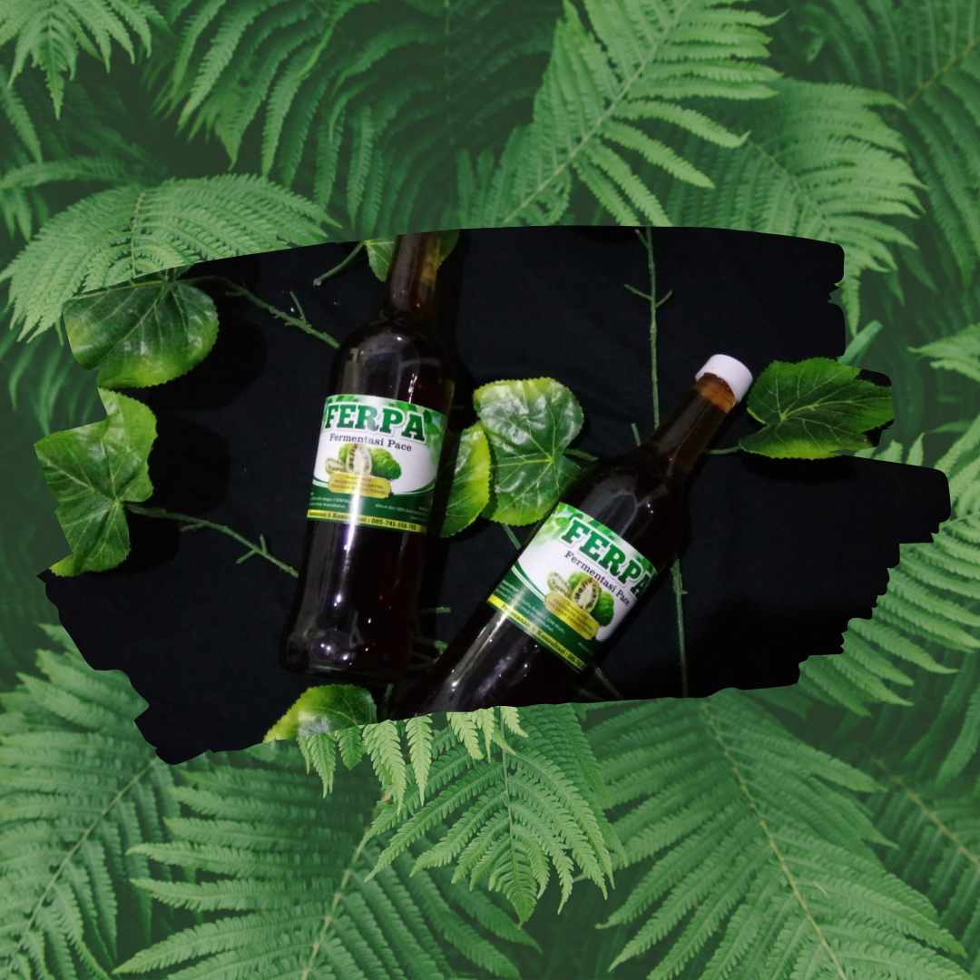 JUAL OBAT HERBAL FERMENTASI PACE / MENGKUDU / NONI
