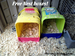 chicken boxes nest litter farm cat nesting diy chickens murano box laying coop chick cake clever chicks hop buckets easy