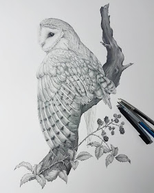 07-Barn-Owl-Kerry-Jane-Detailed-Black-and-White-Wildlife-Drawings-www-designstack-co
