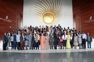 Engaging the health and nutrition sectors in aflatoxin control in Africa 1 image004