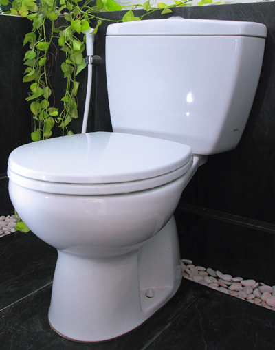 Mana Lebih Sehat? Toilet Duduk Atau Toilet Jongkok | tips