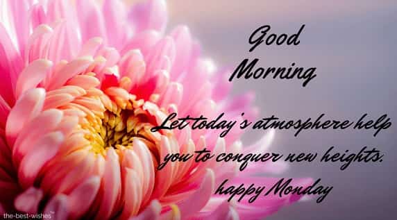 best-monday-quotes-image-with-rose best monday quotes image with rose