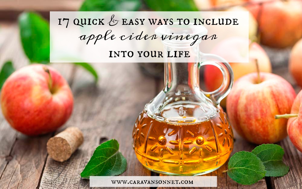 Does Apple Cider Vinegar Get Rid Of Dog Urine Smell
