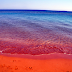 Μαγεία: Η παραλία με την πορτοκαλί αμμουδιά σε ένα από τα ομορφότερα νησιά της Ελλάδας! (Photos)