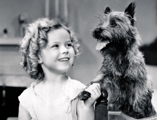 Screen%2Bshot%2B2016-04-29%2Bat%2B3.00.5