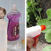 Say No to Roundup! Here's a Simple 2-Ingredient Natural Herbicide to Use Instead For Your Garden.