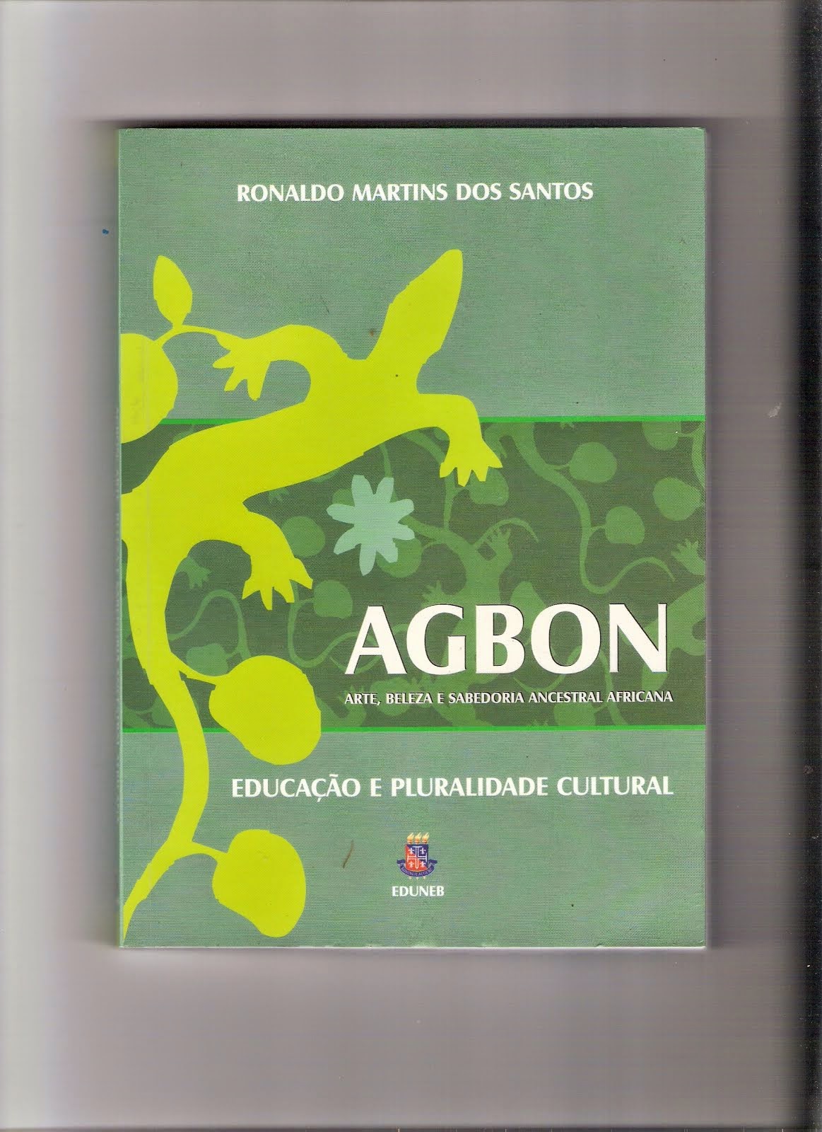 BLOG DA ACRA INDICA: Livro AGBON - ARTE, BELEZA E SABEDORIA ANCESTRAL AFRICANA