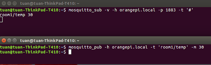 How to turn the Orange Pi/Raspberry Pi into an IoT node