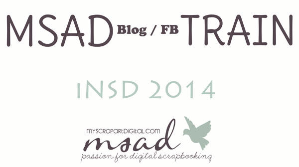  blog train MSAD - INSD 2014 