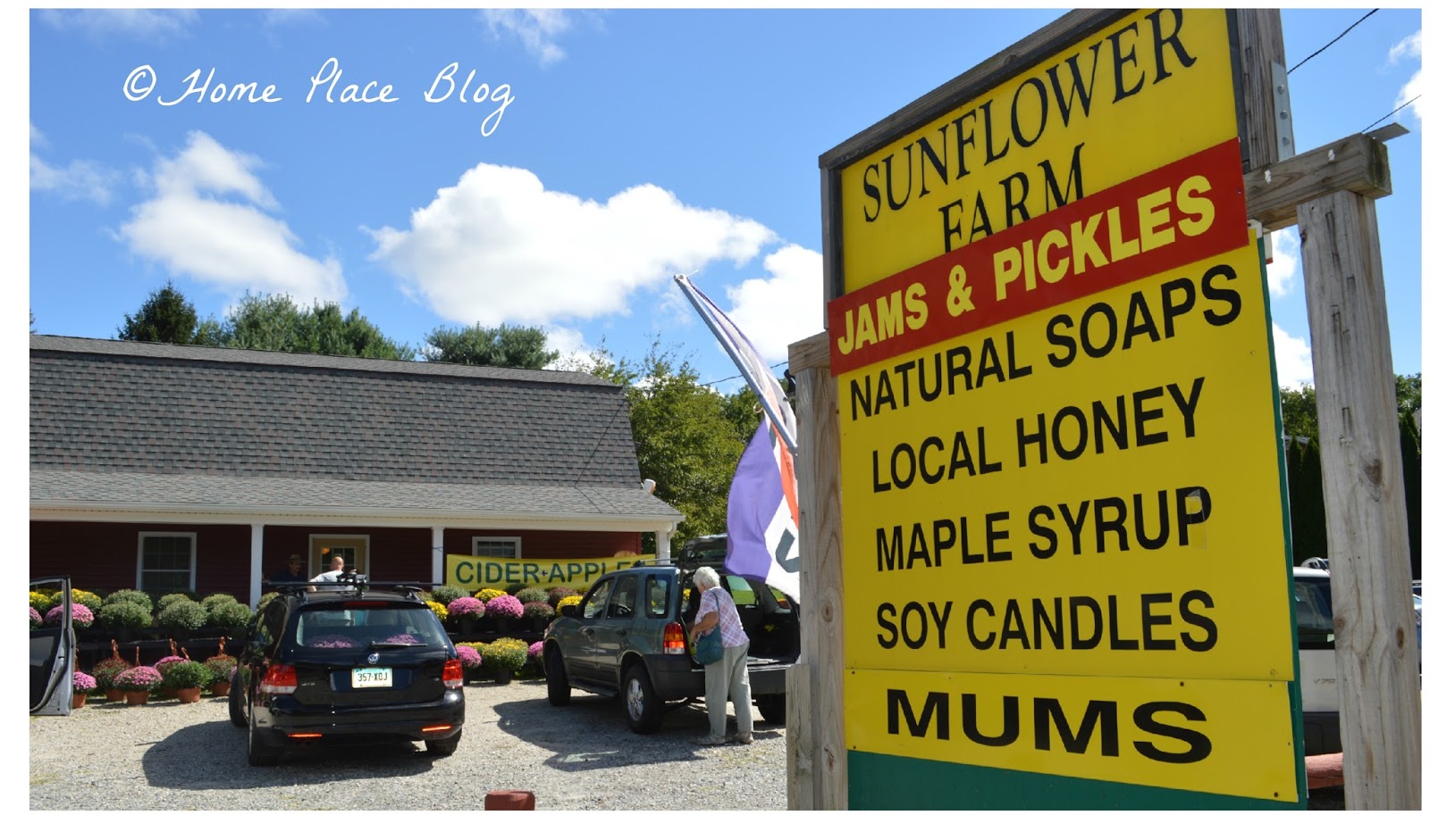 Home Place Cash Mob CT at Sunflower Farm in Orange CT