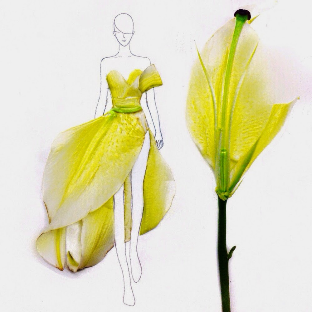 01-Grace-Ciao-Fashion-Illustrations-www-designstack-co