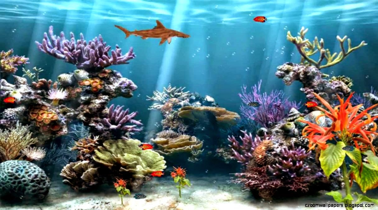 Moving Fish Tank Desktop Backgrounds Zoom Wallpapers